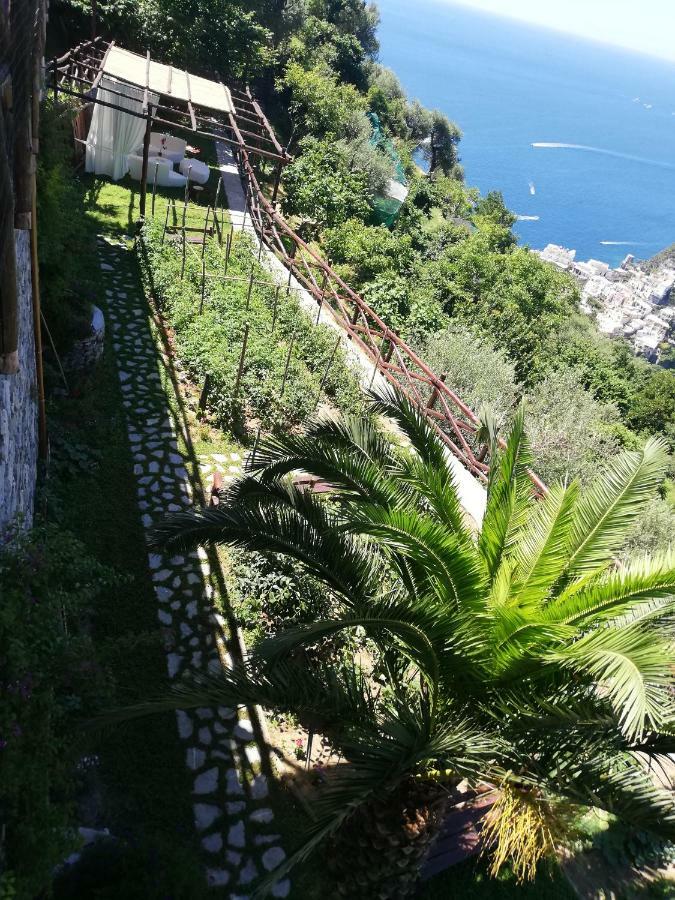 Villa Graziella Positano "A Piece Of Paradise" Exterior photo